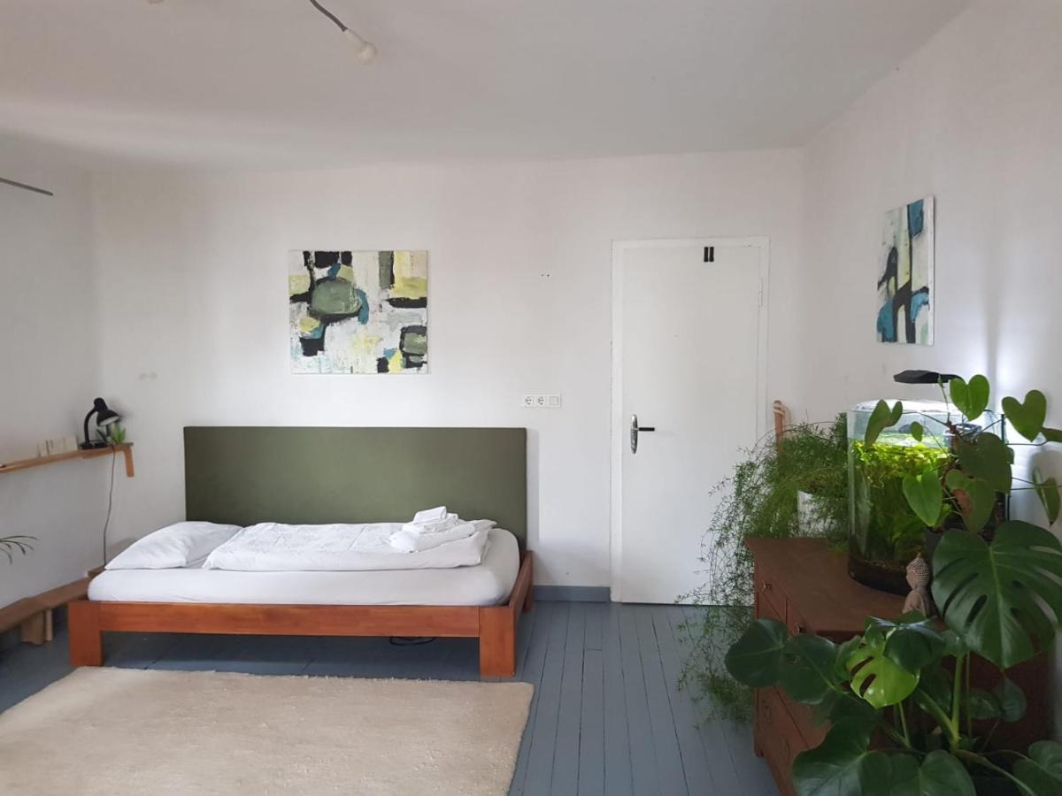 Aeltestes Haus In Quentel - Ferienwohnung 2 Mit Dachterrasse Lichtenau Exterior foto