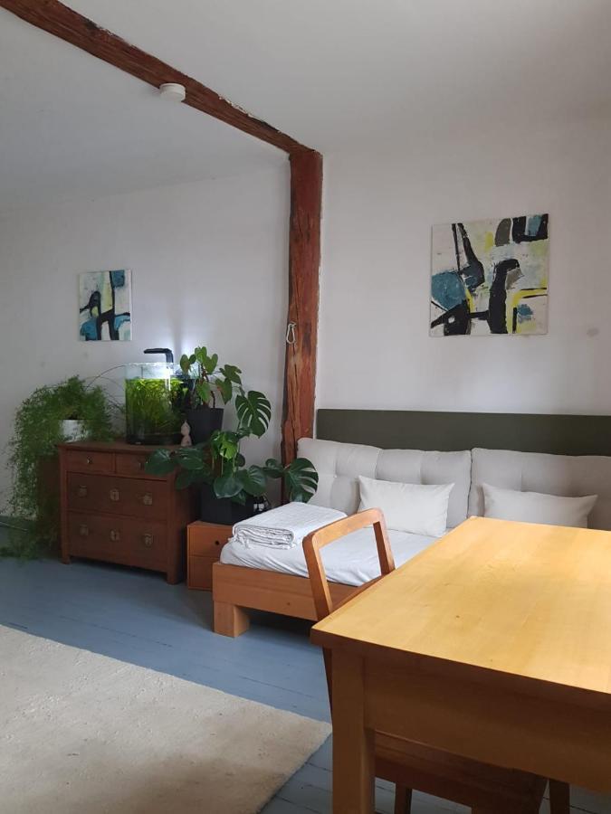 Aeltestes Haus In Quentel - Ferienwohnung 2 Mit Dachterrasse Lichtenau Exterior foto